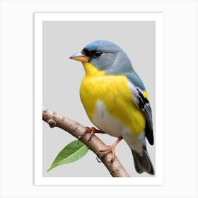 Bird On A Branch 4 Art Print