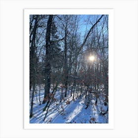 Sun Shines Through The Woods Art Print