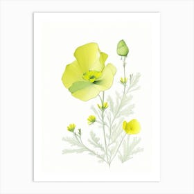 Buttercup Floral Quentin Blake Inspired Illustration 3 Flower Art Print