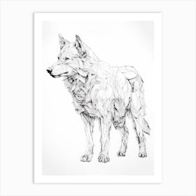 Arctic Wolf Line Drawing 3 Art Print