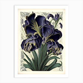 Iris Floral 3 Botanical Vintage Poster Flower Art Print