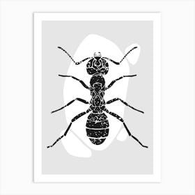 Ant Vector Illustration Art Print