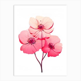 Pink Poppy Flower Vector Illustration Art Print