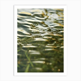 Water Ripples 1 Art Print