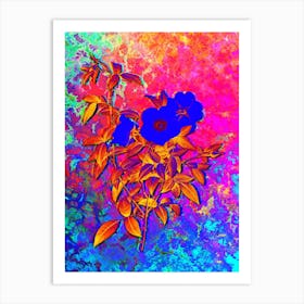 White Rose of Snow Botanical in Acid Neon Pink Green and Blue n.0205 Art Print