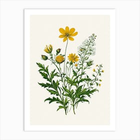 Vintage Botanical Galleria Style Wildflower Painting 20 Art Print