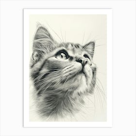 Cat Peeks Art Print