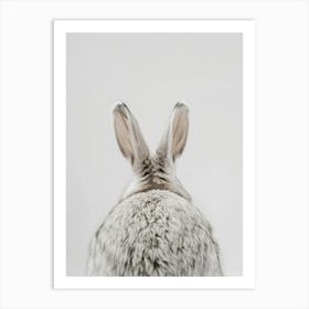 Rabbit back Art Print