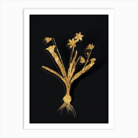 Vintage Scilla Amoena Botanical in Gold on Black Art Print