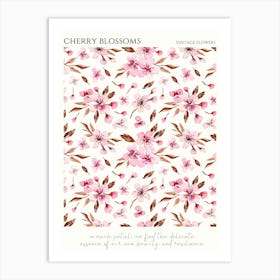 Cherry Blossoms 12 Art Print