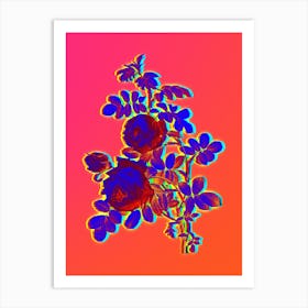 Neon Sulphur Rose Botanical in Hot Pink and Electric Blue n.0030 Art Print
