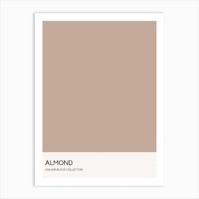 Almond Colour Block Poster Art Print