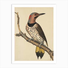 Woodpecker Art Print