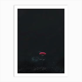 Single Rose In The Dark Art Print