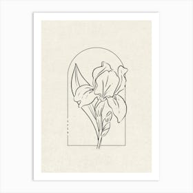 Iris Flower Art Print