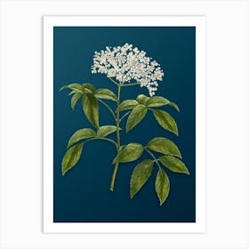 Vintage Elderberry Flowering Plant Botanical Art on Teal Blue n.0003 Art Print