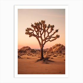  Photograph Of A Joshua Tree At Dusk  In A Sandy Desert 2 Art Print