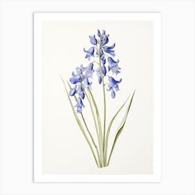 Bluebells Flower Vintage Botanical 3 Art Print