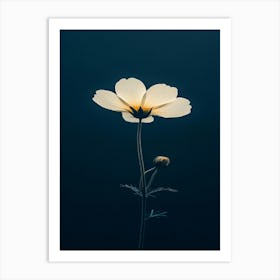 Single White Flower 1 Art Print