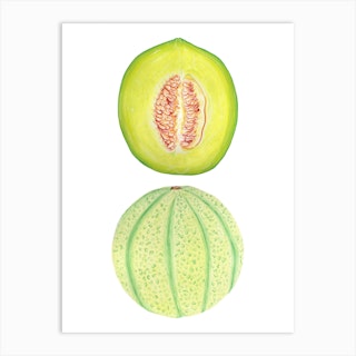 Honeydew Melon Art Print