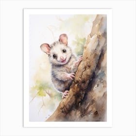 Light Watercolor Painting Of A Climbing Possum 4 Art Print