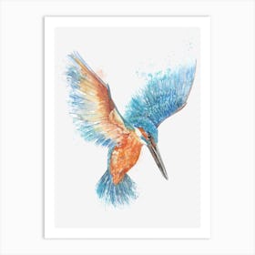 Kingfisher in hover Art Print