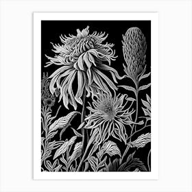 Bee Balm Wildflower Linocut 1 Art Print