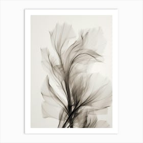 Floral Art 0005 X Ray Flowers 0004 Sephia X Ray Flowers 0022 Bp6586 Minimalist Soft Bright X Ray Scandinavian Minimali Art Print