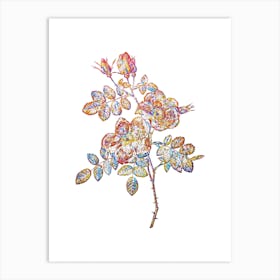 Stained Glass Austrian Briar Rose Mosaic Botanical Illustration on White n.0147 Art Print