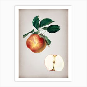 Vintage Apple Botanical on Parchment Art Print