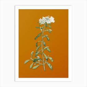Vintage Small White Flowers Botanical on Sunset Orange n.0672 Art Print