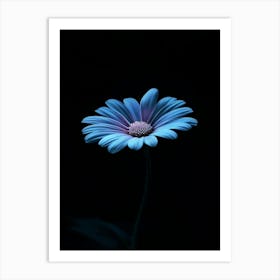 Dark Blue Flower 6 Art Print