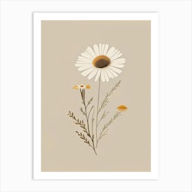 Chamomile Spices And Herbs Retro Minimal 3 Art Print