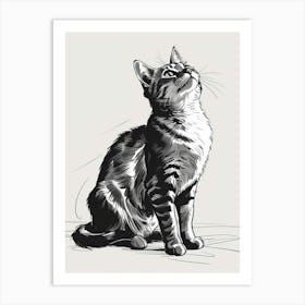 Hand Drawn Sketch Of A Cat Art Print