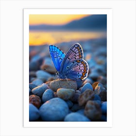 Blue Butterfly On Rocks Art Print