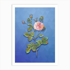 Vintage Pink Agatha Rose Botanical Art on Blue Perennial n.1363 Art Print