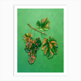 Vintage Lacrima Grapes Botanical Art on Classic Green n.0917 Art Print