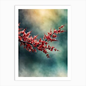 Cherry Blossoms On A Branch Art Print