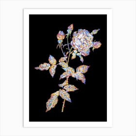 Stained Glass Provence Rose Mosaic Botanical Illustration on Black n.0047 Art Print