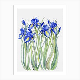 Blue Iris Art Print