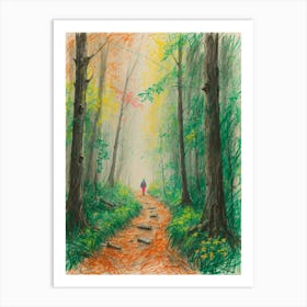 Walk In The Woods 1 Art Print