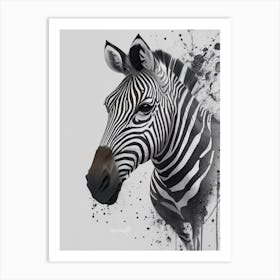 Zebra Watercolor Art Print