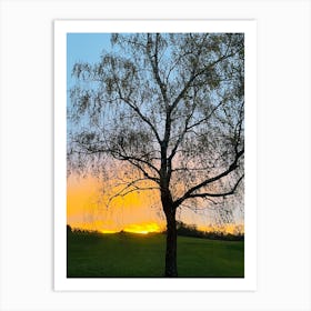 Sunset Over A Tree Art Print