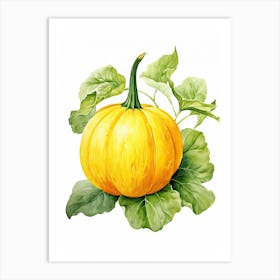 Spaghetti Squash Pumpkin Watercolour Illustration 4 Art Print