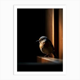 beautiful bird Art Print