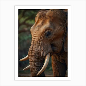 Elephant With Tusks Art Print