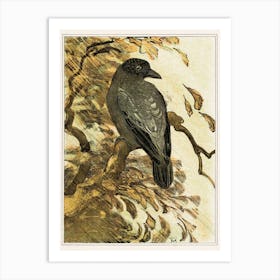 Pied Crow On A Branch (1878–1910), Theo Van Hoytema Art Print