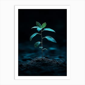 Small Green Plant On Dark Background 5 Art Print