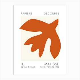 Matisse'S Flower Art Print