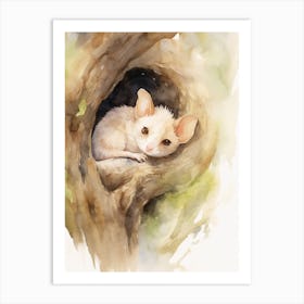 Light Watercolor Painting Of A Sleeping Possum 3 Art Print